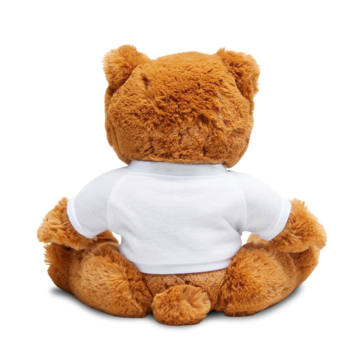 Motivational Teddy Bear